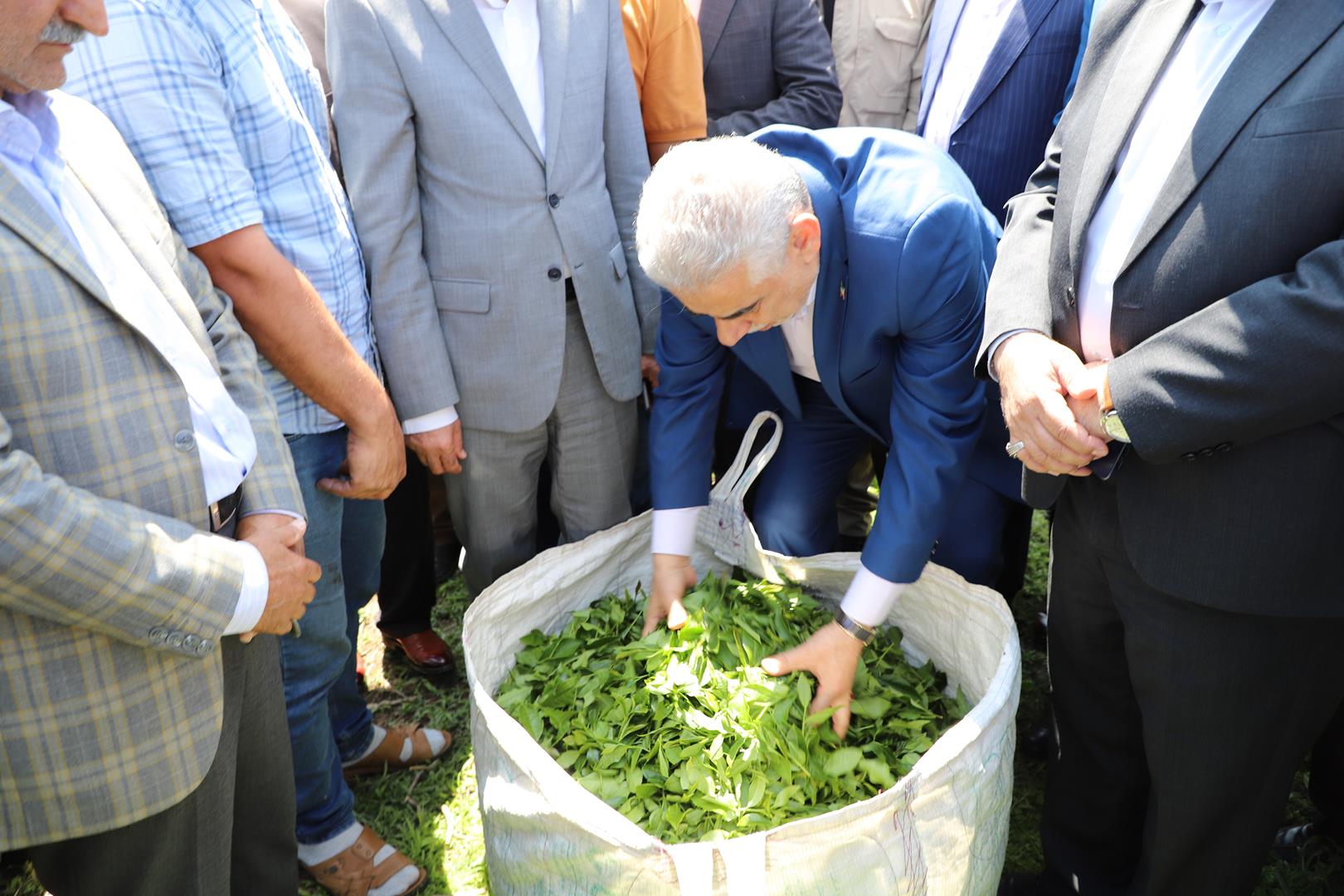 رییس سازمان جهاد کشاورزی استان گیلان به همراه استاندار به شهرهای فومن و شفت سفر کرد